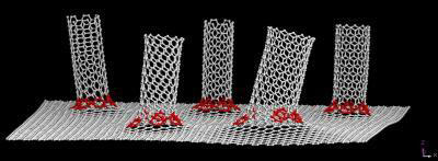 transition from graphene to nanotube