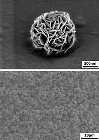 hydrogel