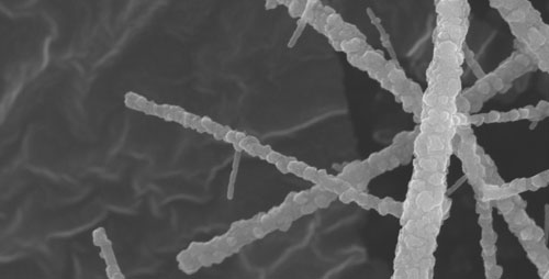 Nanofibers of metal oxide