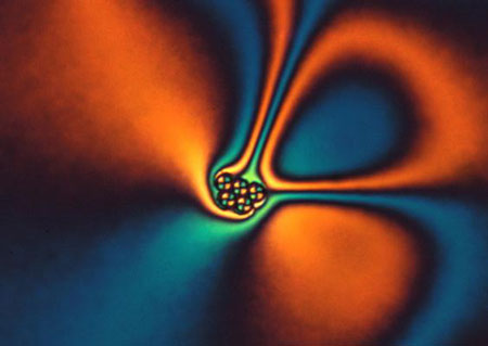 Polarized Light in a Liquid Crystal