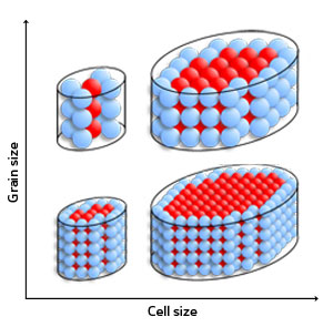 Phase change in NGST is faster when the grains are smaller and arranged into tinier cells, owing to an increase in the ratio of surface (blue) to internal (red) grains and the interface between grains