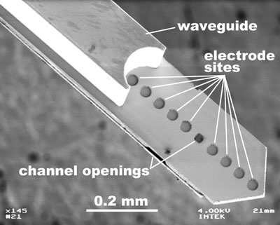 polymer-based neural probe with platinum electrodes for the measurement of electrical signals