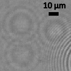 Nano-lens image of H1N1 flu virus