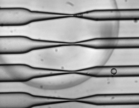 cells squeeze through a narrow channel