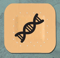 DNA delivery patch