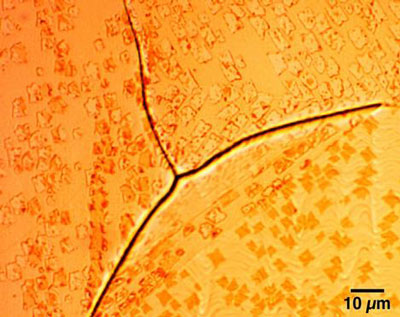 Optical micrograph showing graphene domains formed across grain boundaries