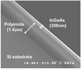 Cross-sectional SEM image of InGaAs layer on polyimide