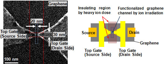 Helium ion microscope image and schematic illustration of graphene transistor