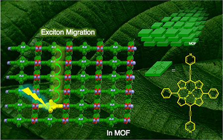 directional energy (exciton) migration in a MOF
