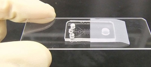 microfluidic chip for cancer biomarker detection