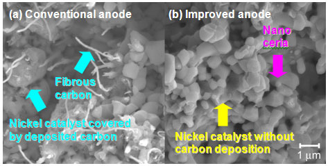 SEM images of anode