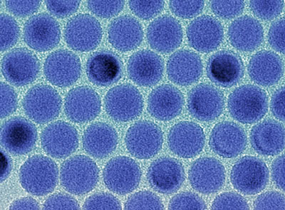 Monodisperse tin nanodroplets in an electron microscopic image
