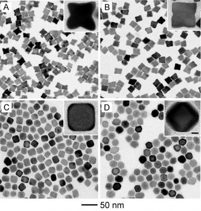 TEM Image of Nanocrystals