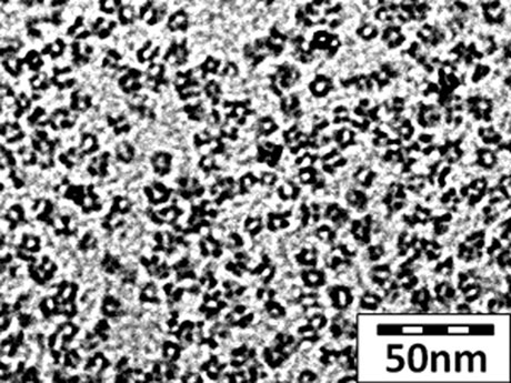 Mesoporous C-Dots populate a field a few hundred nanometers wide