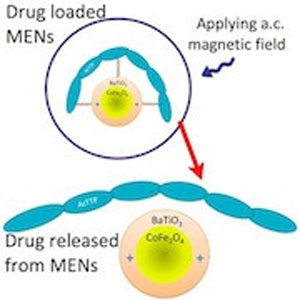  magneto-electric nanoparticles to deliver a significantly higher level of the anti-HIV drug AZTTP to the brain