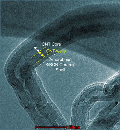 carbon nanotube composite
