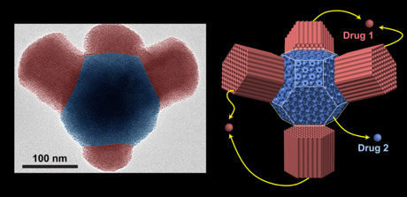 nanoparticle compartments