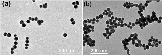 Gold nanoparticles self-assemble into long chains when bombarded with electrons
