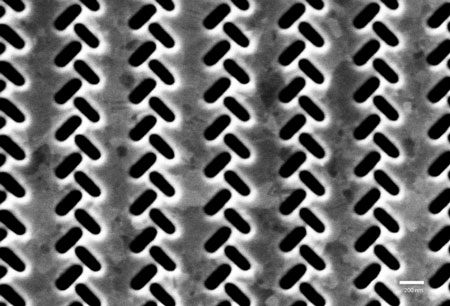 nanoscale perforations