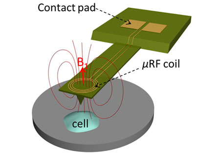 concept for a new type of technology that combines two biological imaging methods - atomic force microscopy and nuclear magnetic resonance