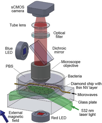 Wide-field fluorescence microscope used for combined optical and magnetic imaging
