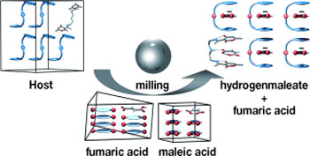 A polyamine host recognizes dicarboxylic acids in solution and in solid state