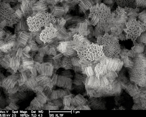 nanoparticles of porous silicon