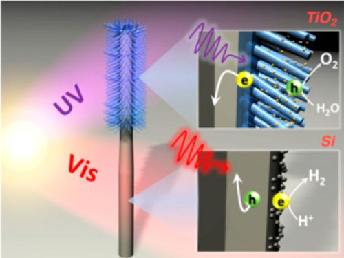 nanowires absorbing light