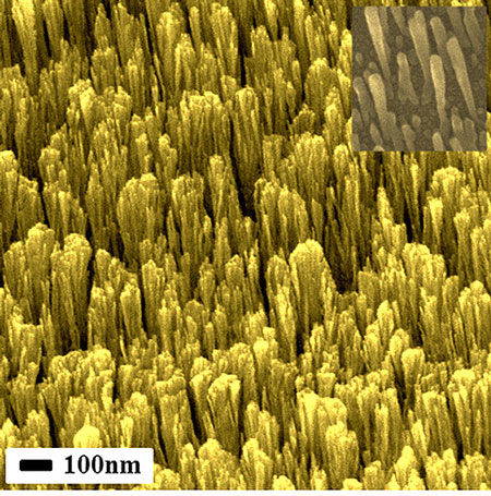 metallic nanorods