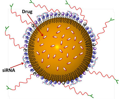 nanocarrier-based drug delivery