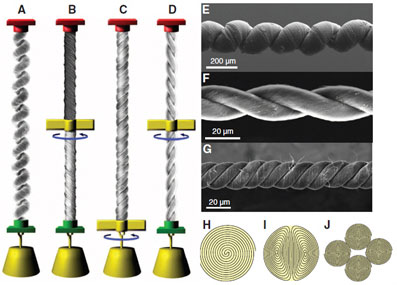 hybrid carbon nanotube yarn muscle