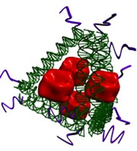 Tetrahedron DNA-scaffolded nicotine vaccine
