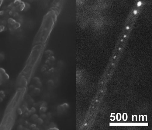 Elektronenmikroskopische Aufnahmen von Nanokristallen (helle Punkte) im Innern einer Kohlenstoffnanoröhre