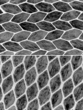 nanocrystal herringbone patterns