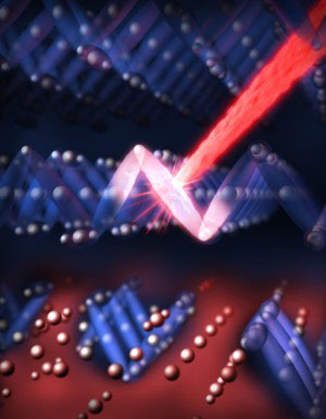 >Optical laser flash (red) destroys the electronic order (blue) in magnetite
