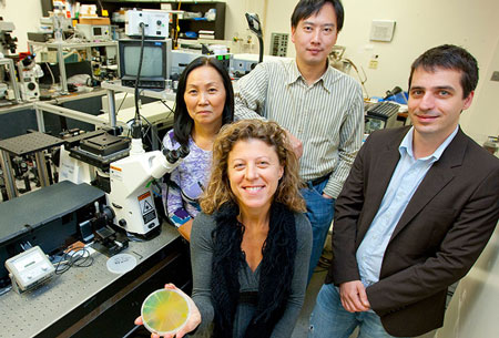 Bond's nanophotonics and plasmonics research team members from the LLNL Engineering Directorate