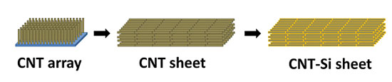 Vertically grown aligned carbon nanotube (CNT) forests are drawn into aligned CNT sheets and coated with silicon