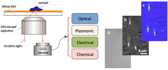 multifunctional imaging system based on plasmonic resonance