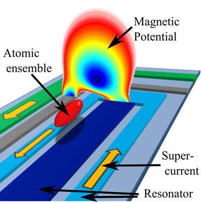 Rubidium atoms are magnetically suspended above a superconducting microchip, creating a new interface between superconducting nanoelectronics and the atoms