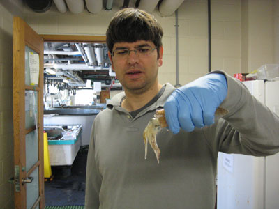 Melik C.Demirel, professor of engineering science and mechanics, holds a squid
