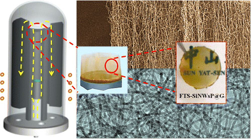 synthesis of flexible transparent and self-standing silicon nanowires paper