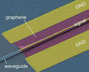 silicon waveguide-integrated graphene photodetector