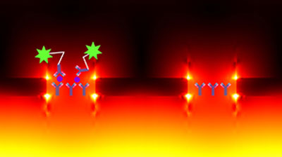 Localized surface plasmon resonance (bright areas) around a gold nanohole