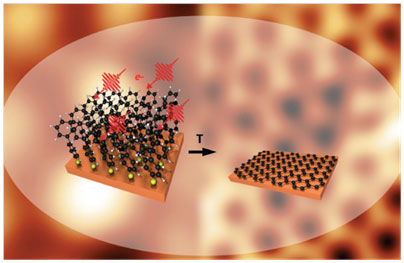 conversion of the monolayer of the complex molecule biphenyl thiol in the two-dimensional graphene crystal by electron irradiation and thermal treatmen
