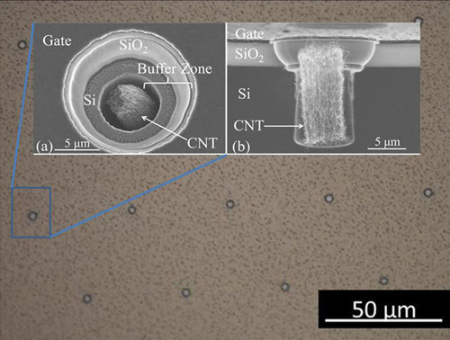 bundles of carbon nanotubes grown in pits on this silicon microchip