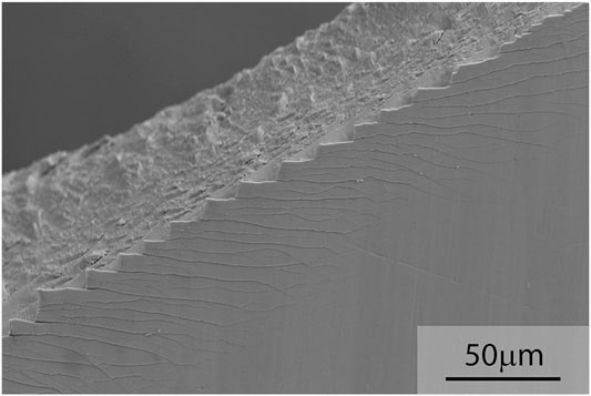 SEM micrograph image of a bulk metallic glass