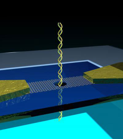 3D-Model of a Nanopore-Bearing Graphene Ribbon