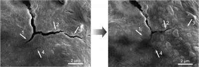 Self-Healing Polymer Close-Up