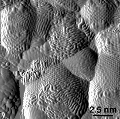 canning tunneling microscopy image showing the surface structure of nanodiamonds
