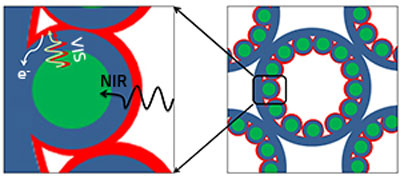 Nanoparticles (green) convert near-infrared radiation (NIR) to visible light